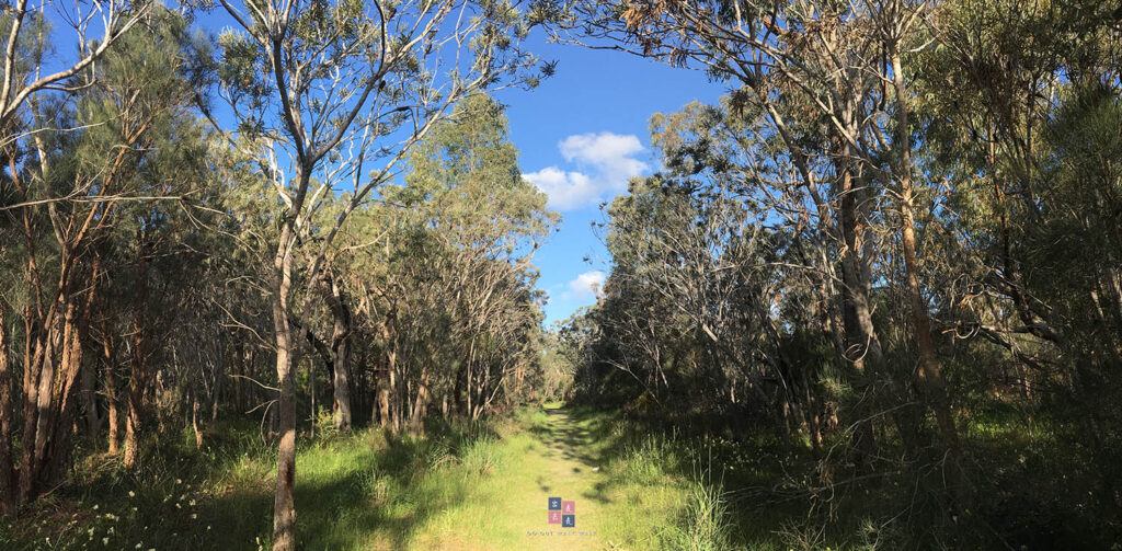 gooutwa;kwalk_kings park and botanic garden_perth_1