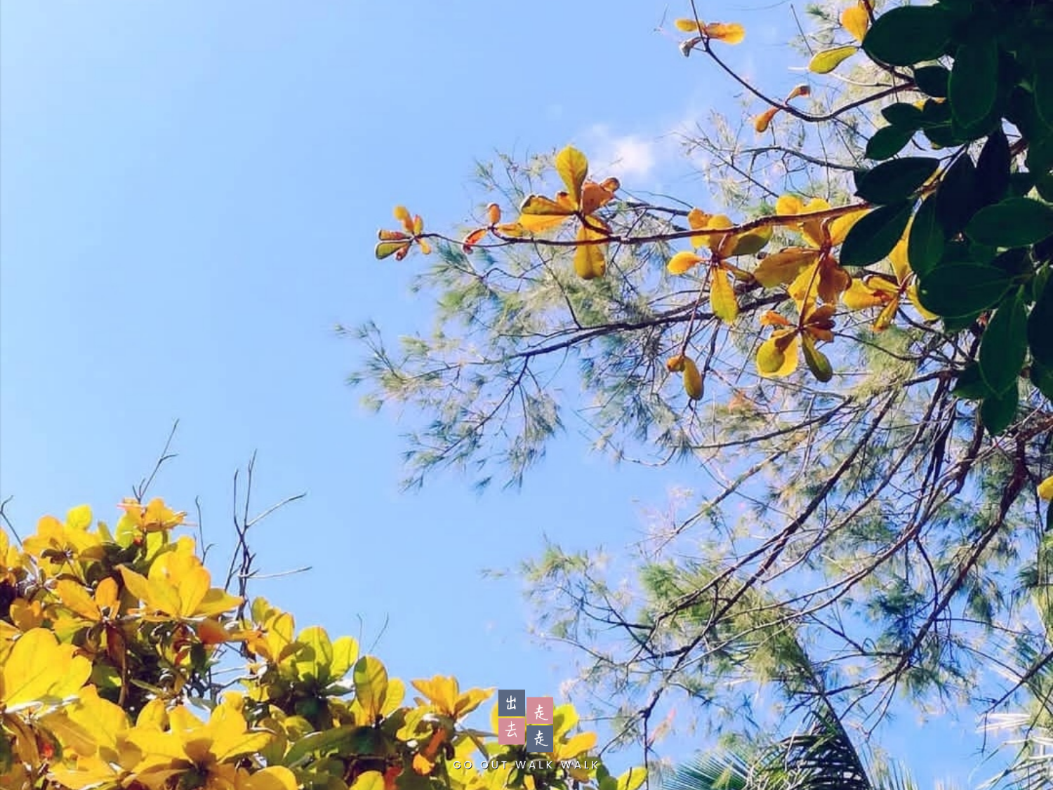gooutwalkwalk_redang_sky