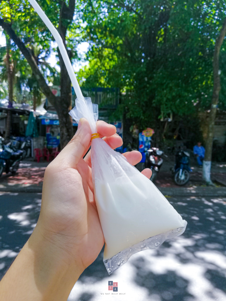 gooutwalkwalk_hue_vietnameseyogurt