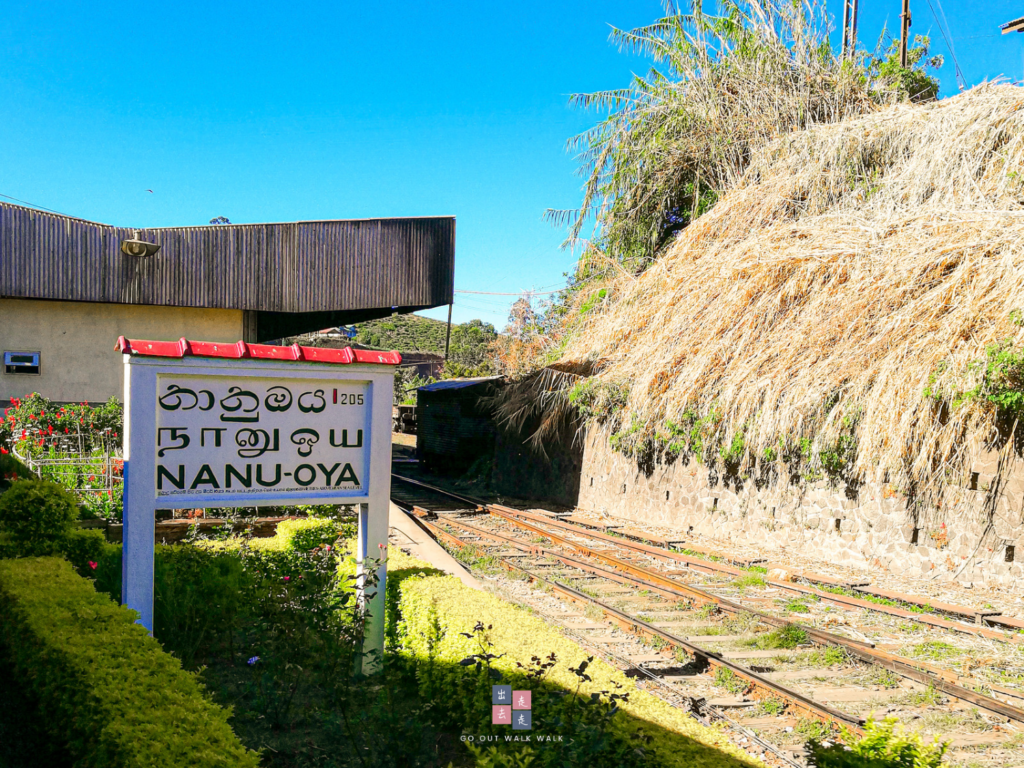 gooutwalkwalk_srilanka_train_nanuoya